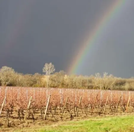 Charmante Dependance Avec Piscine - 20 Min De Bordeaux Apartment *
